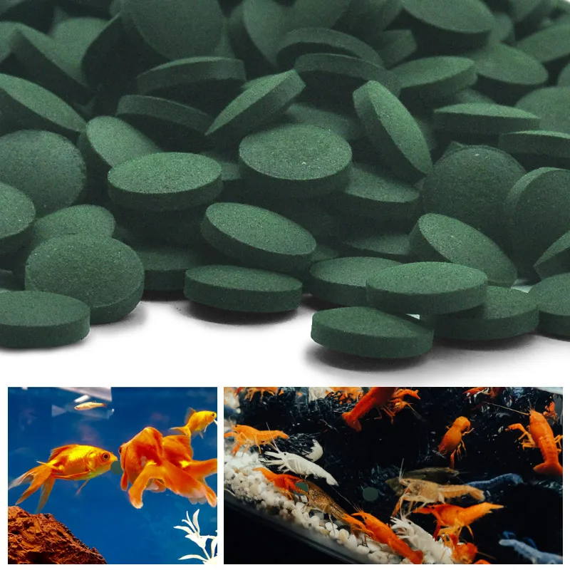 Spirulina Tablet Organic - 100pcs 고순도 스피루리나 정제 나선형 해초