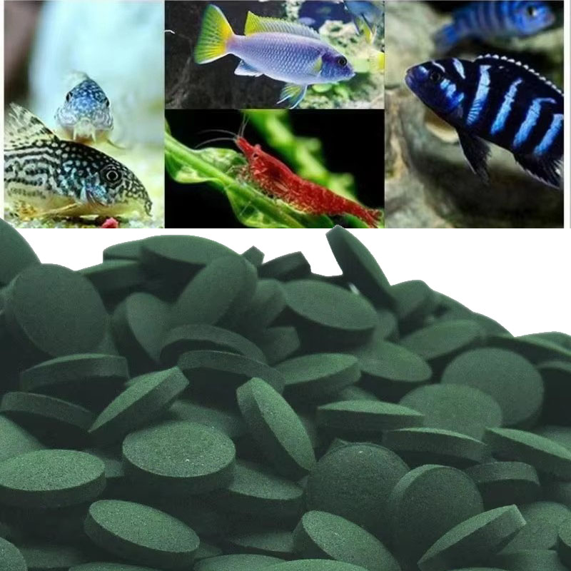 Spirulina Tablet Organic - 50/100/300/500개 스피루리나 정제 나선형 해조류 농축물