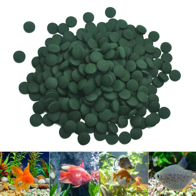 50-300개 고순도 스피룰리나 정제 나선형 해조류 강 - Spirulina Tablet Organic 리뷰 및 가격
