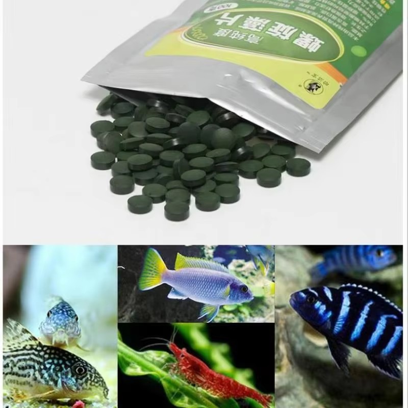 100/200/300/500pcs 고순도 스피루리나 정 - Spirulina Tablet Organic 리뷰 및 가격