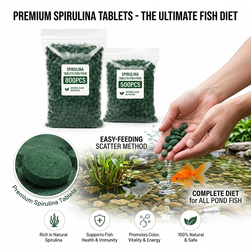 시케잔 고순도 스피루리나 타블렛 나선형 해조류 식품 영 - Spirulina Tablet Organic 리뷰 및 가격